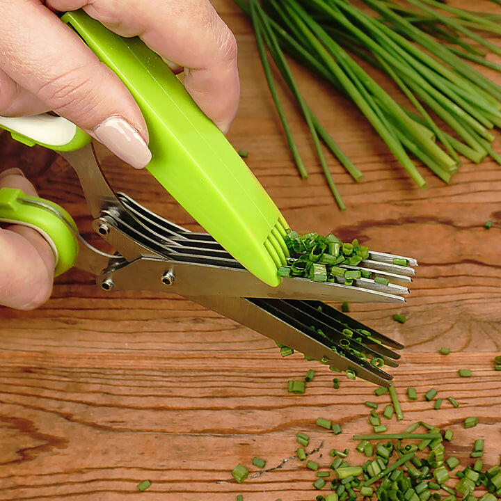 Herb Scissors.