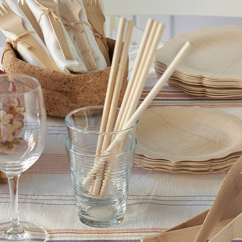 bambu® | Disposable Bamboo Straws, Box of 24