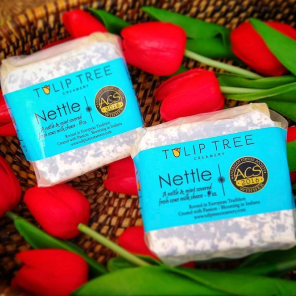 Tulip Tree Creamery - Nettle cheese squares, covered in herbs and ACS 2016 award stickers, nestled among red tulip blooms in a basket.
