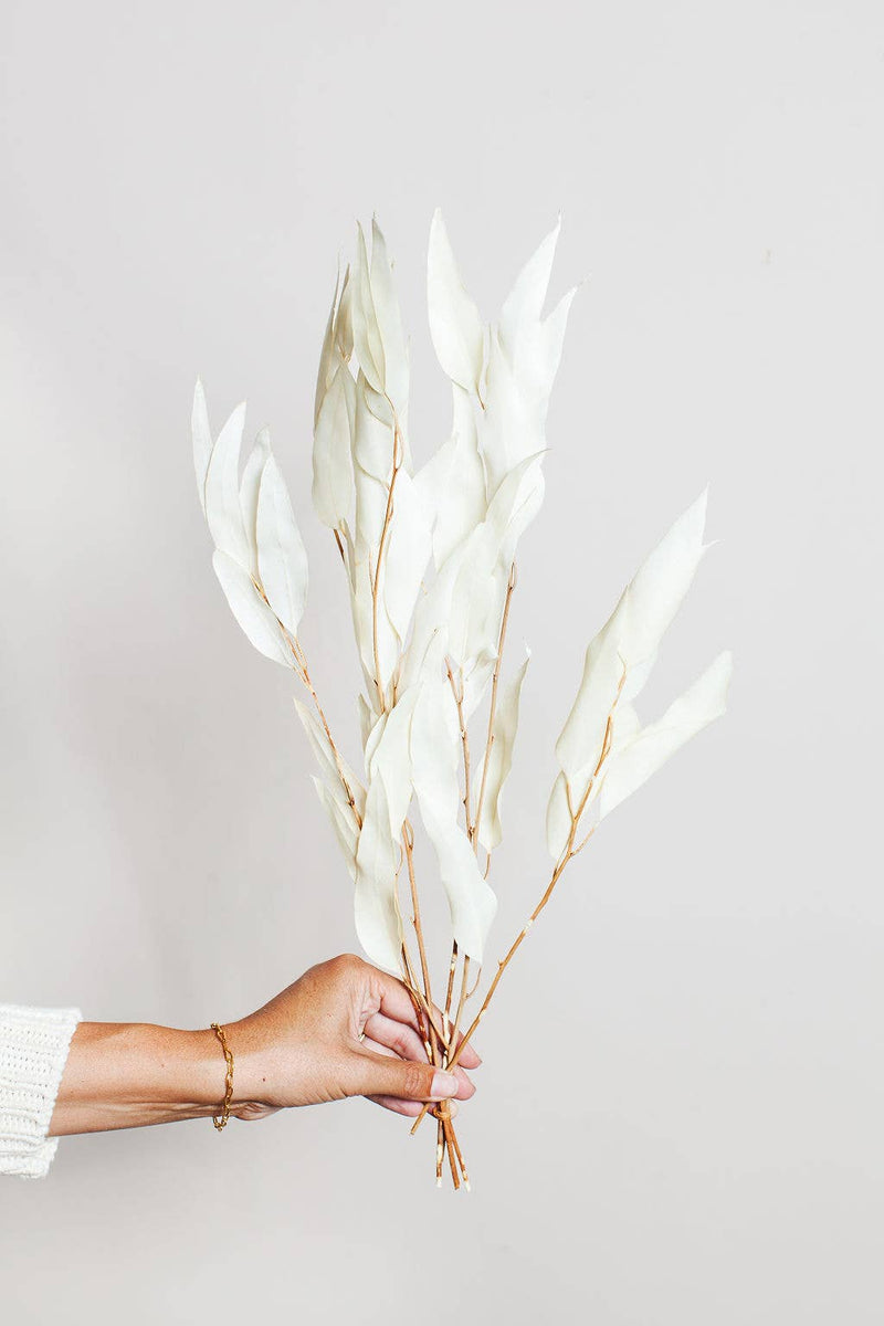 Idlewild Floral Co. | Dried White Willow Eucalyptus