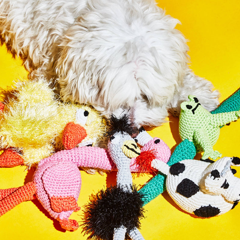 Ware of the Dog | Boiled Wool Donut Dog Toy, Strawberry