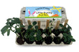 Little Bunny Garden Grow Kit.