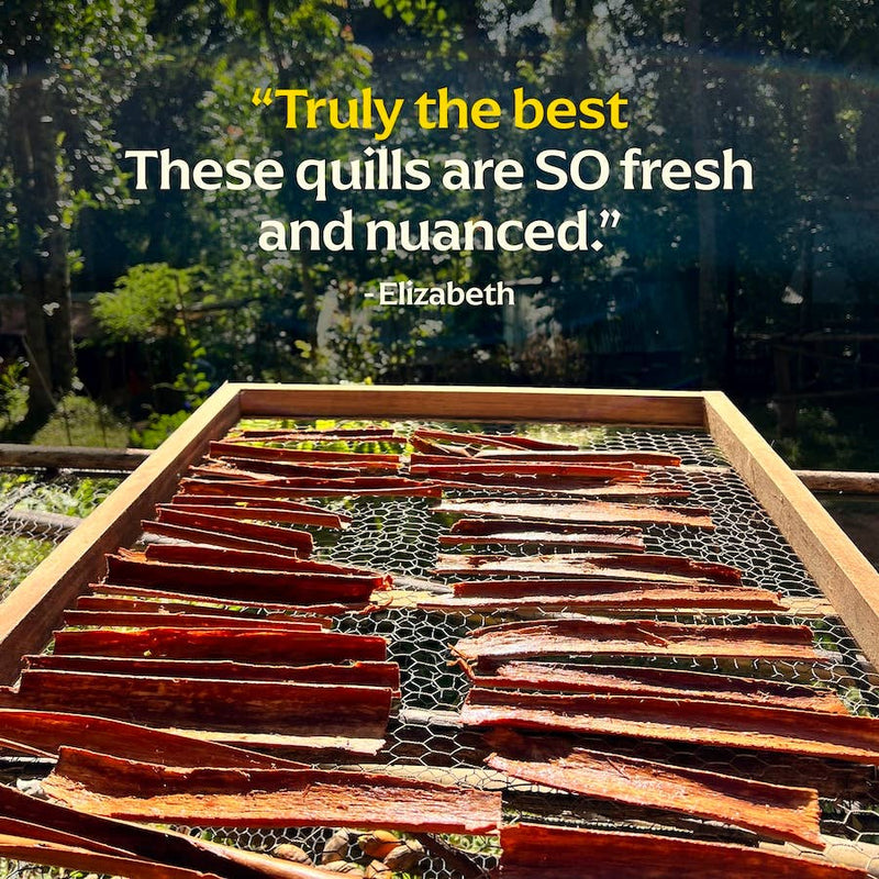 Diaspora Co. Spices - Wild Cinnamon Quills displayed on a wooden tray, showcasing aromatic, hand-harvested quills from Sri Lanka's organic Eko Land community.