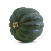 Bentley Seed Co. - Squash-Acorn Table Queen 1913, a dark-green, ribbed heirloom squash, ideal for baking, soups, and winter storage, perfect for compact gardens.