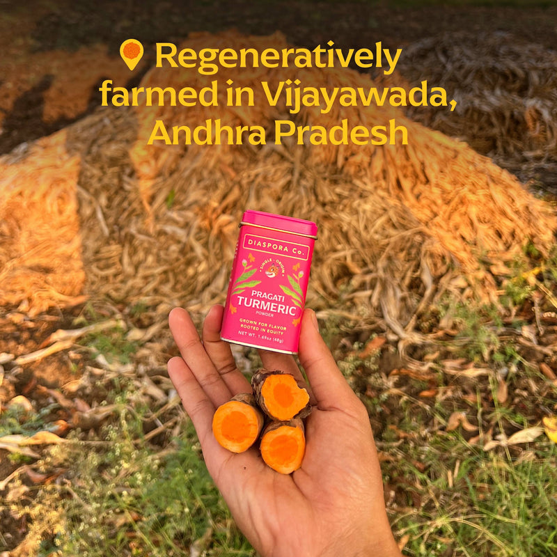 Hand holding Diaspora Co. Spices - Pragati Turmeric: 185g Chef Tin, highlighting heirloom turmeric from a regenerative farm, perfect for culinary enthusiasts.