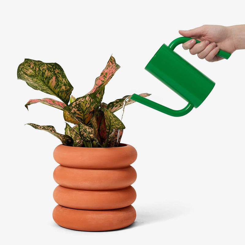 Areaware - Tango Watering Can: Short Green held by a hand, accompanied by a potted plant, showcasing its elegant design and practical functionality.