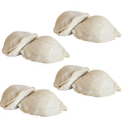 Nicola's Marketplace | Individual Mini Italian Sfogliatelle Pastries, showcasing uncooked dumplings dusted with flour, ready for cooking.