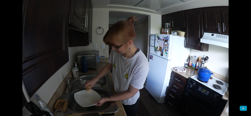 No Tox Life | DISH BLOCK® Huge Solid Dish Soap