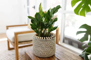 NEEPA HUT - Handmade Eco Storage Basket: Beige, intricately woven by Bidayuh artisans, ideal for organizing stationery or holding houseplants, crafted with natural fibers.