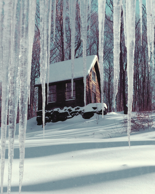 Common Good | Dish Soap Bottle, 16 oz Lavender