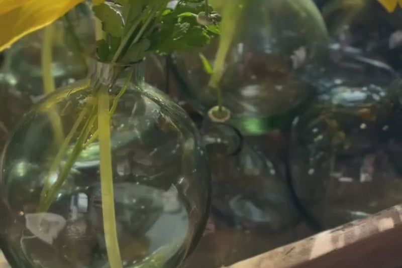 Etú HOME | Clear Sphere Bud Vase