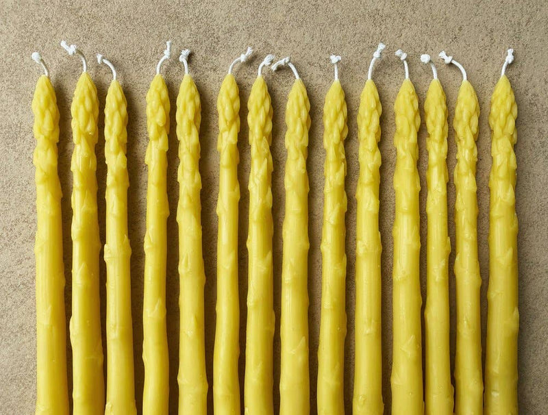 Artifaqt - Asparagus Beeswax Taper Candles (Pair): Green, resembling asparagus spears, hand-poured, set on a surface, showcasing their unique design and craftsmanship.