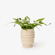 Areaware - Strata Plant Vessel: Yellow, a ceramic planter with stacked shapes, concealing its saucer, inspired by Simone Brewster's sculptural design heritage.