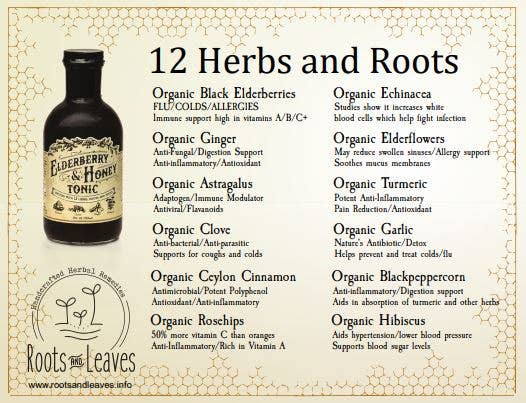 Roots And Leaves - Elderberry & Honey Tonic, 16 oz bottle, featuring a label with herbal ingredients for immune support, showcased in glass for eco-friendliness.