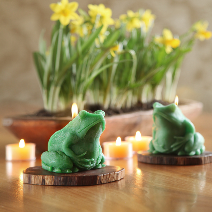 Big Dipper Wax Works | Beeswax Frog Candle