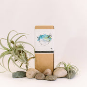 Root & Splendor Laundry Soap Concentrate - Hush - 1.5L in sustainable packaging, emphasizing eco-friendly, non-toxic cleaning with essential oil blends for effective, gentle laundry care.