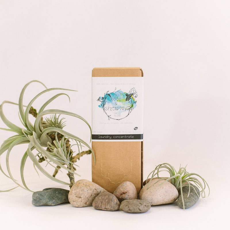 Root & Splendor Laundry Soap Concentrate - Hush - 1.5L in sustainable packaging, emphasizing eco-friendly, non-toxic cleaning with essential oil blends for effective, gentle laundry care.