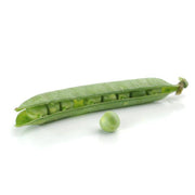 Open pea pod with six large peas, plus one loose pea, illustrating Bentley Seed Co.'s Heirloom Little Marvel Shelling Peas, perfect for fresh eating or preserving.