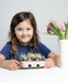 Eco-Kids | Egg Coloring & Grass Growing Kit.