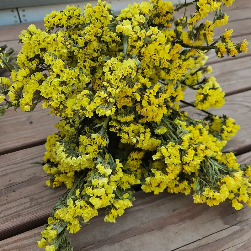 Alissas Flower Farm wreath with yellow statice on wood surface, ideal for indoor decor, dried naturally. Handle with care to minimize shedding.