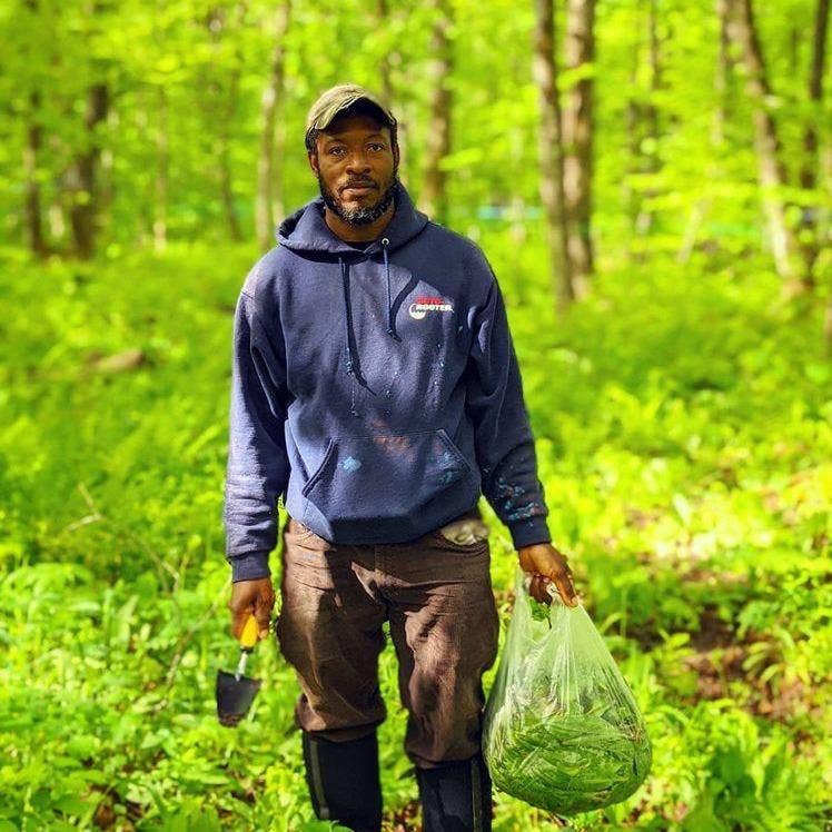 Man foraging in forest, holding wild ramps in a bag, highlighting Burlap & Barrel - Wild Ramps spice, available at Athens Cooks.