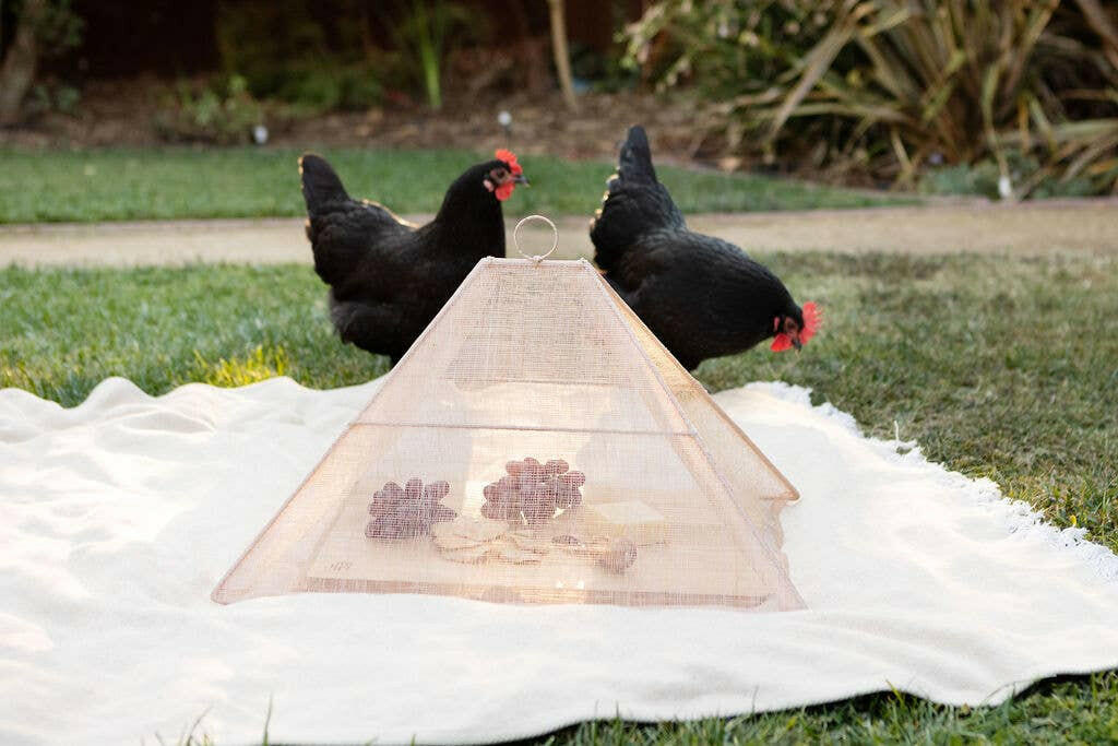 NEEPA HUT | Collapsible Woven Food Tent.