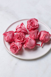Idlewild Floral Co. - Candy Pink Preserved Roses, featuring nine vibrant pink rose heads on a decorative plate, ideal for event decor or craft projects.