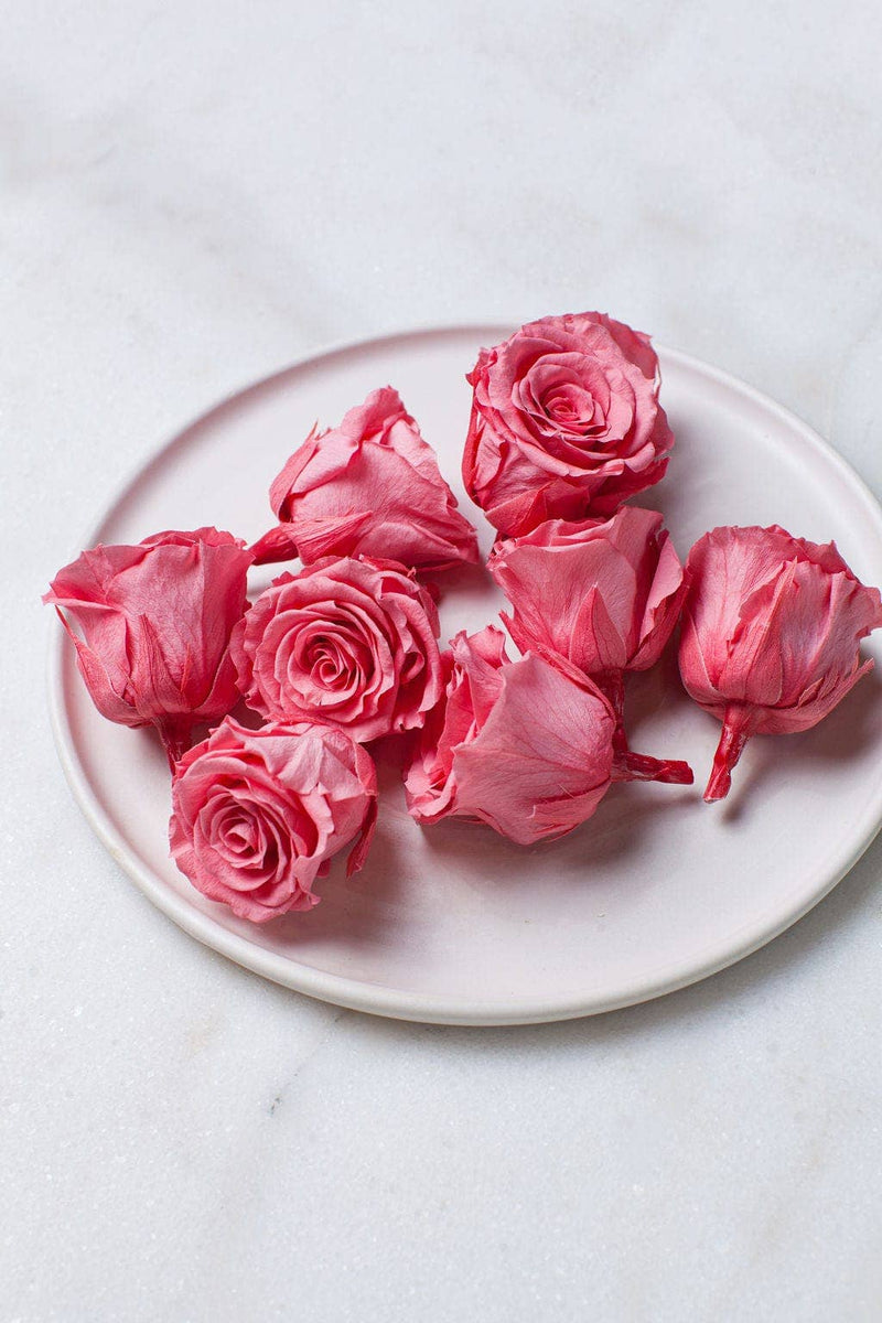 Idlewild Floral Co. - Candy Pink Preserved Roses, featuring nine vibrant pink rose heads on a decorative plate, ideal for event decor or craft projects.
