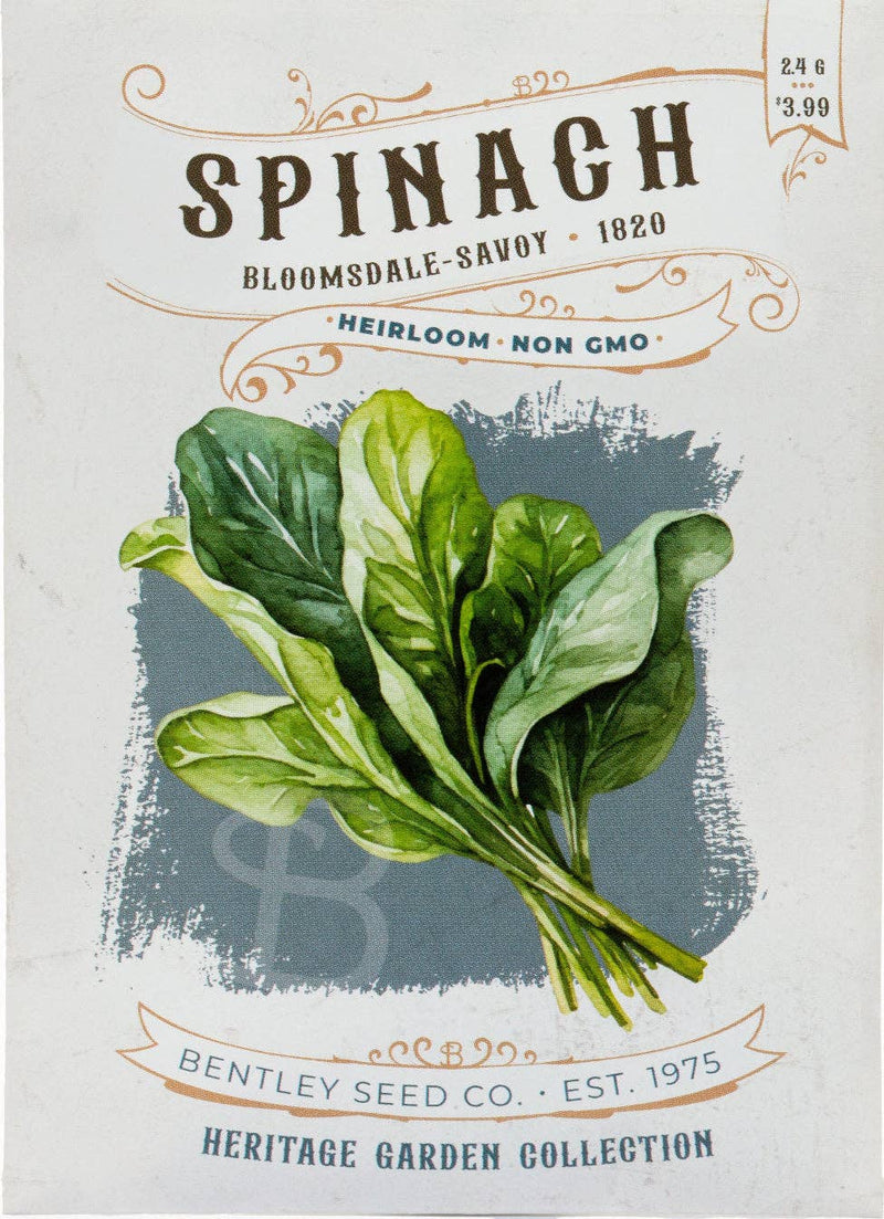 Bentley Seed Co. - Spinach-Bloomsdale Savory 1820 vintage-style seed packet, featuring heirloom, non-GMO spinach leaves illustration; part of the Heritage Garden Collection.