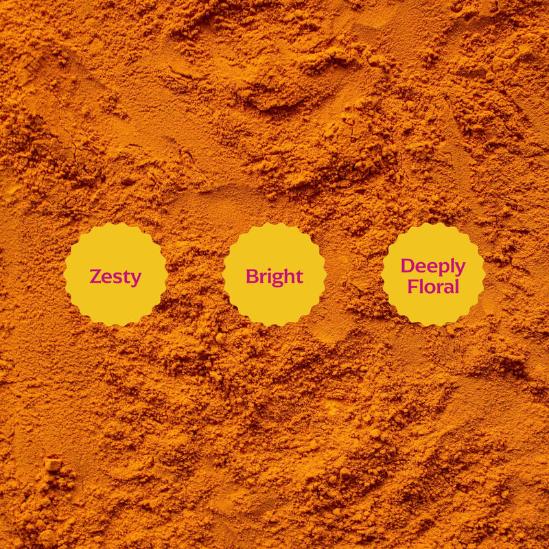 Diaspora Co. Spices - Pragati Turmeric: 185g Chef Tin, featuring heirloom turmeric grown organically by the Kasaraneni family, highlighting regenerative farming practices.