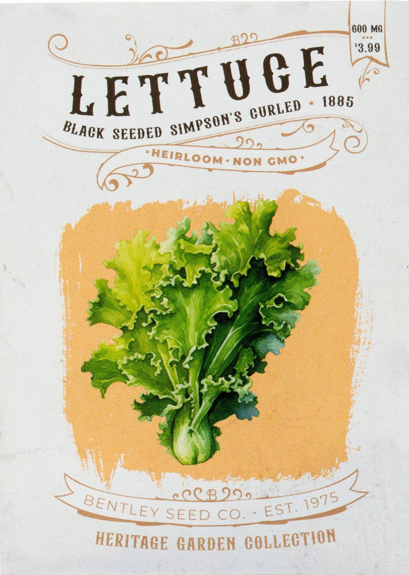 Bentley Seed Co. Lettuce-Black Seed Simpsons Curled 1885 seed packet features vintage art of frilly lettuce. Ideal for salads, 600 mg, $3.99.