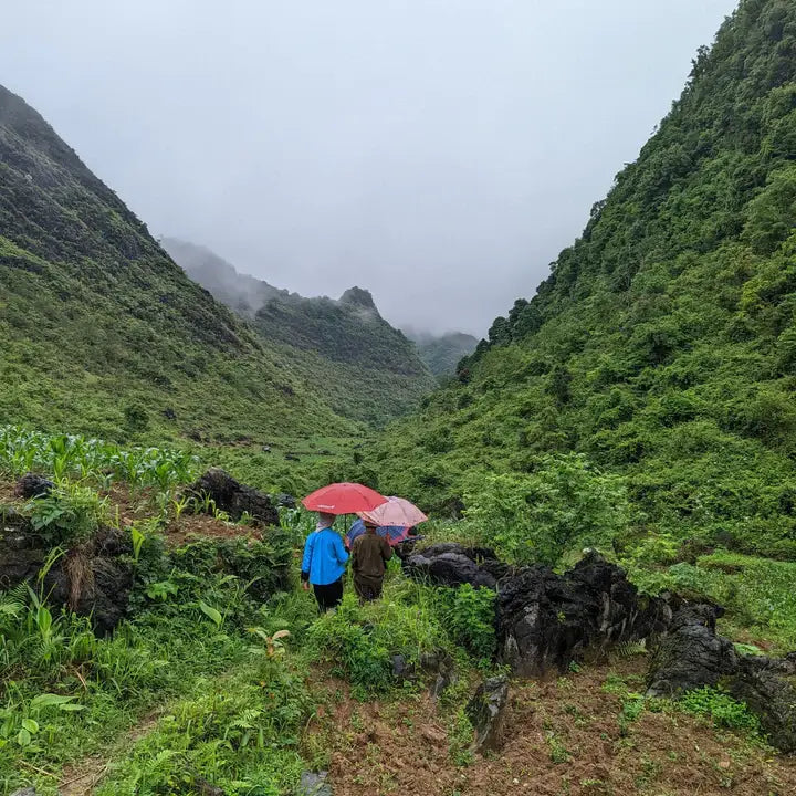 Burlap & Barrel | Five Spice