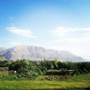 Burlap & Barrel | Wild Mountain Cumin.