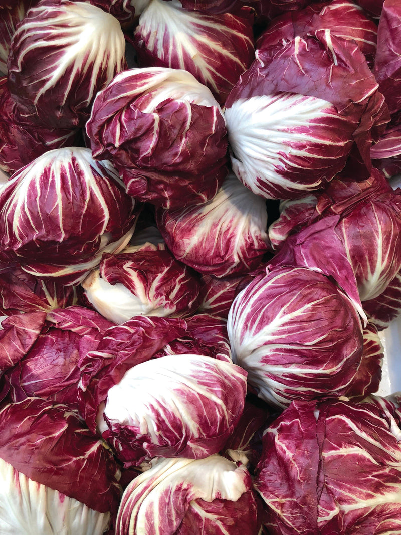 Bentley Seed Co. - Cabbage-Red Acre 1860: Pile of radicchio heads with white veins, ideal for salads or grilling, enhancing meals with color and nutrition.