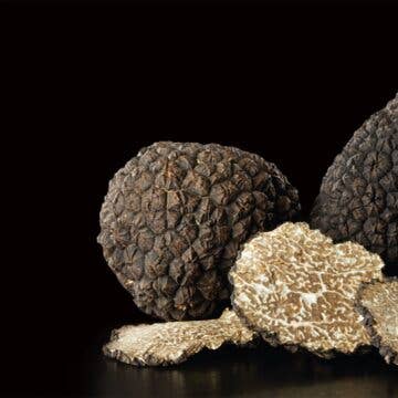 Zia Pia - Truffle Sauce-Large Jar by Giuliano Tartufi