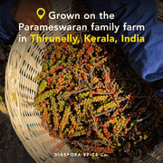 Diaspora Spice Co. - Aranya Black Pepper: Woven basket with hand-picked pepper-berry clusters from Parameswaran family farm, Kerala. Single-origin spice, 53g tin.