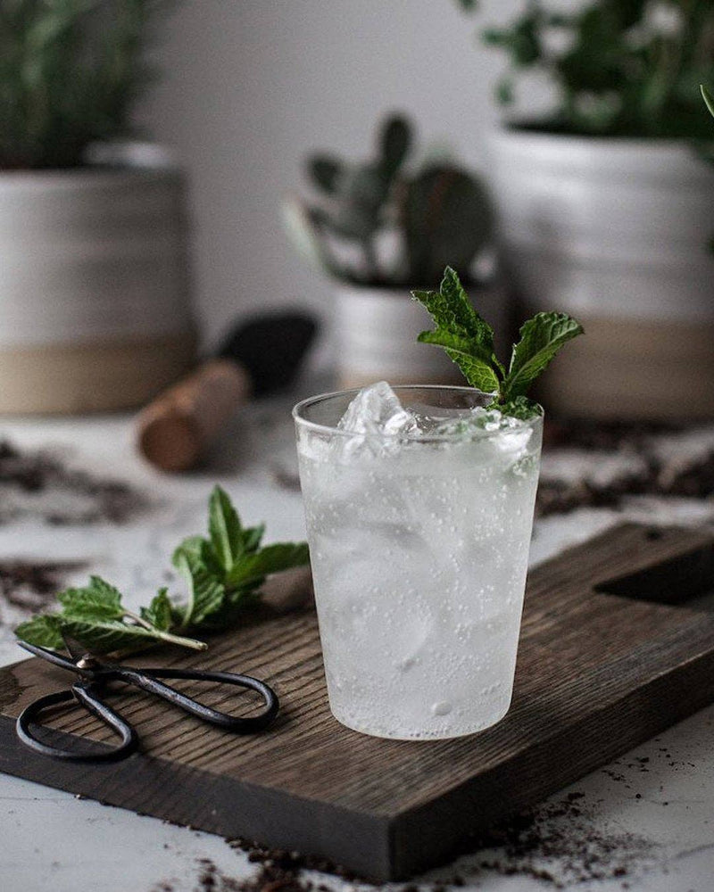 Farmhouse Pottery - Farmhouse Glasses: Set of 6 - Large, shown with a mint-garnished drink, highlighting their elegant borosilicate glass design and practicality for everyday use.