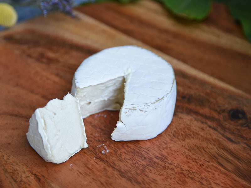 Rebel Cheese | Cave-Aged Brie Plant Based
