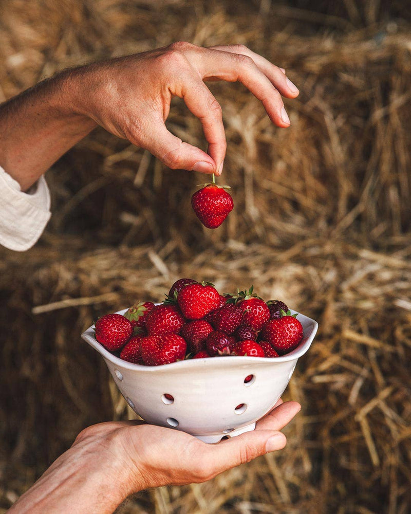 Farmhouse Pottery | Windrow Berry Bowl, Bowl