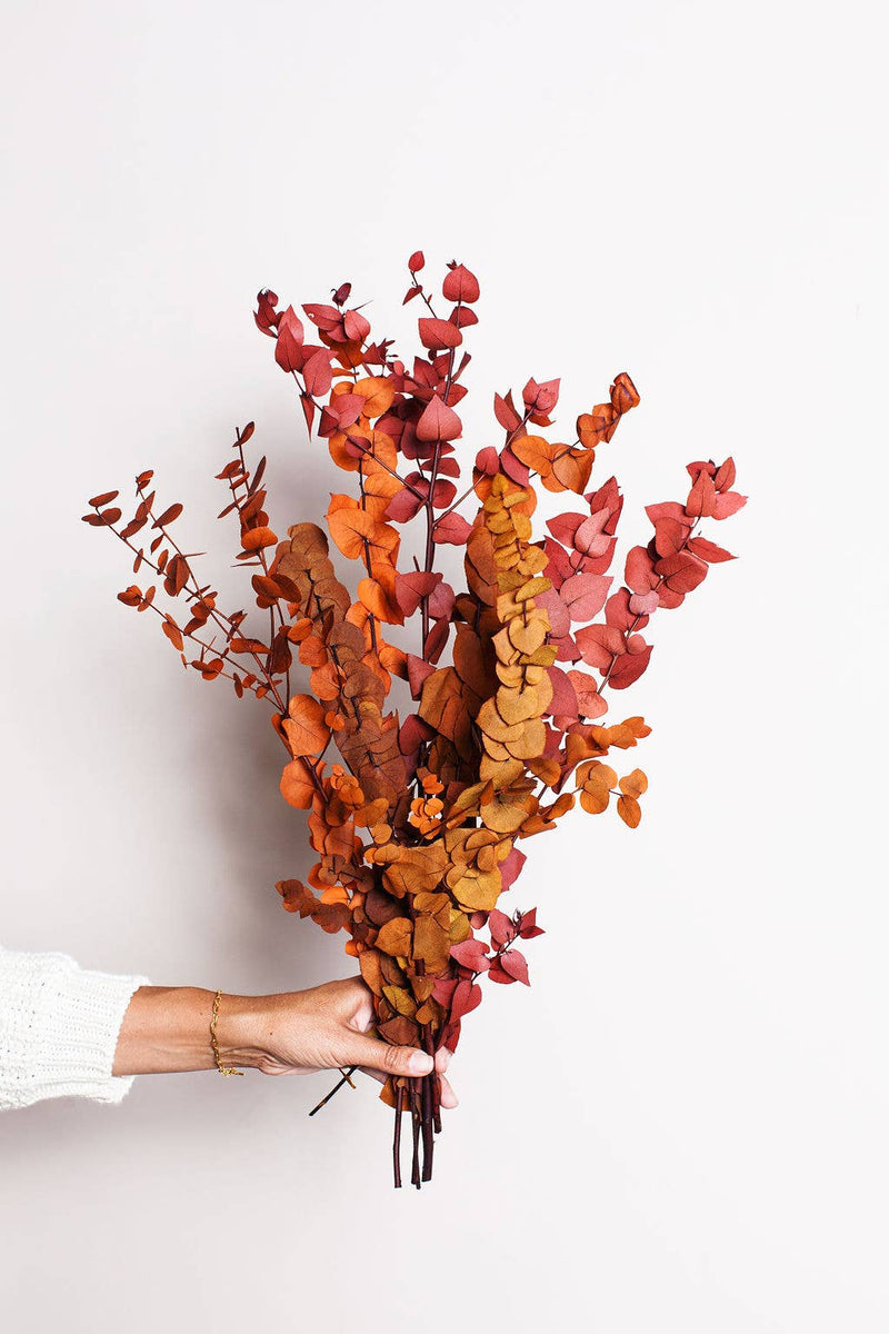 Idlewild Floral Co. | Preserved Copper Stuartiana Eucalyptus