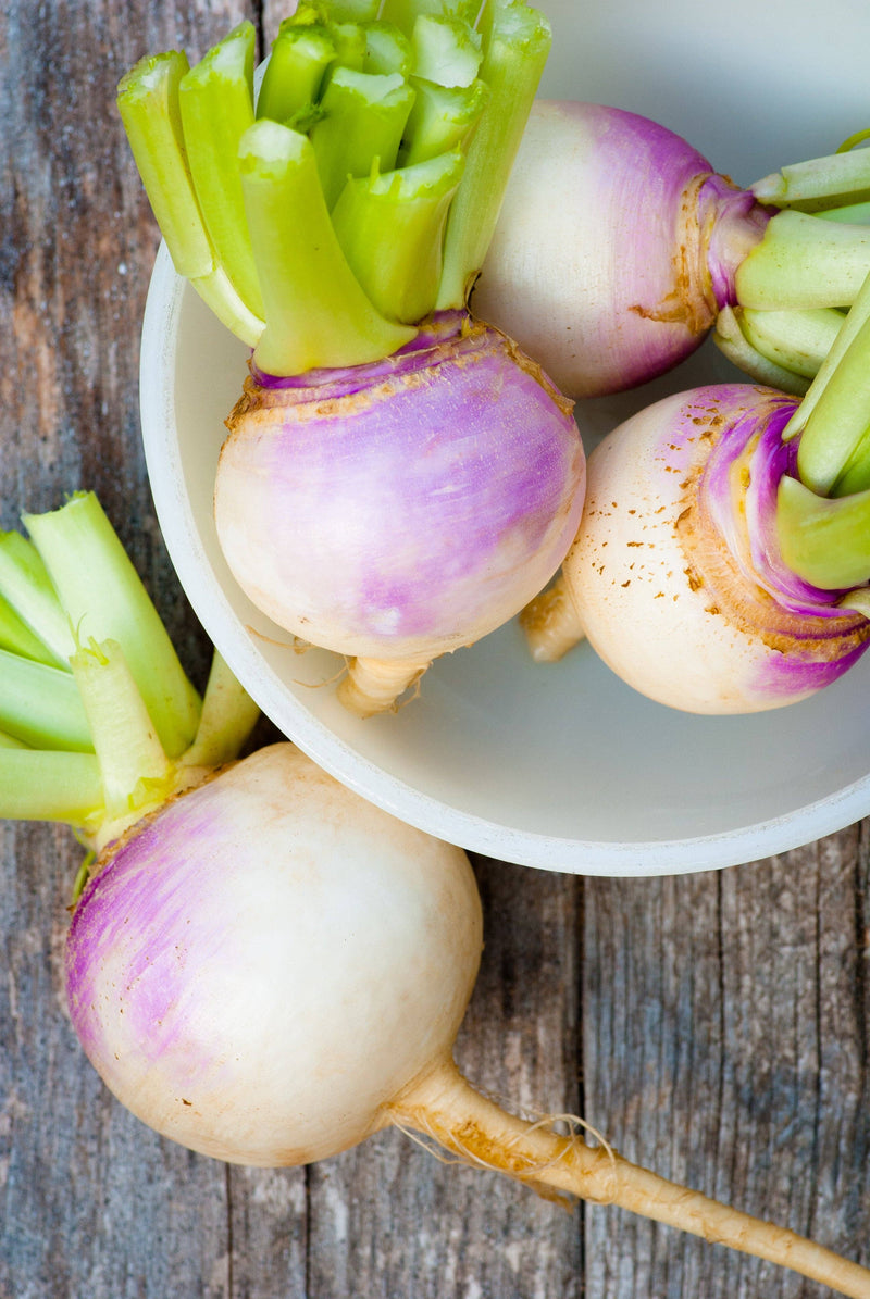 Bentley Seed Co. - Turnip-Purple White Globe 1800's, fresh turnips with green stems in a bowl, ideal for home gardens and versatile cooking.