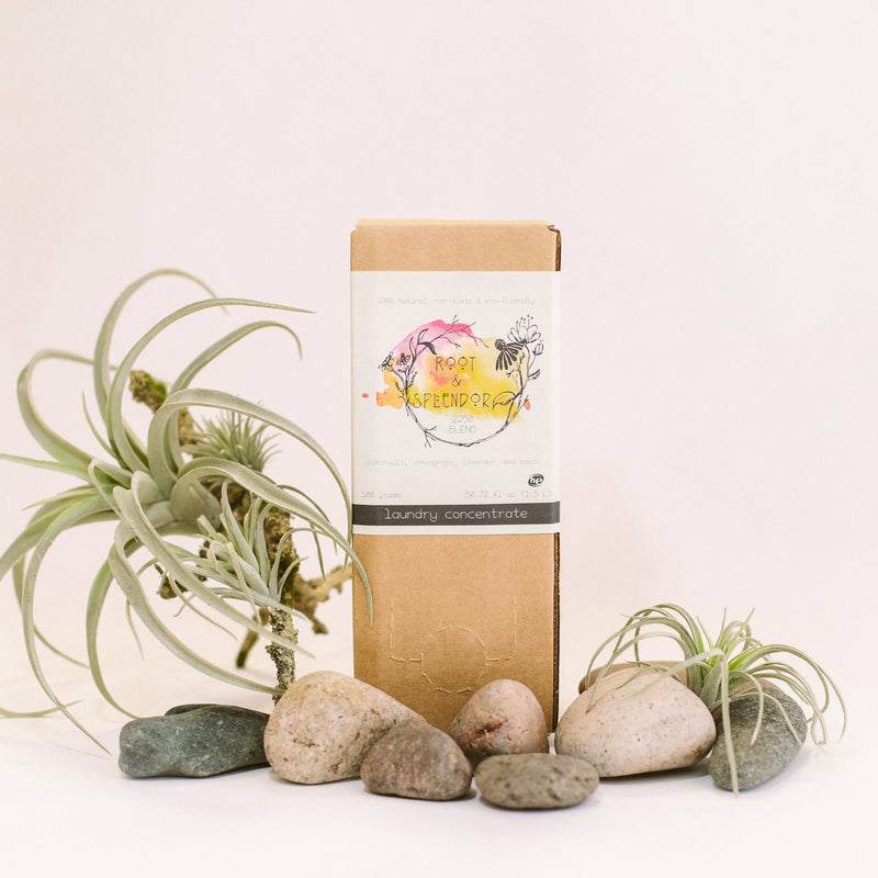 Root & Splendor Laundry Soap Concentrate - Hush 1.5L in sustainable packaging, emphasizing eco-friendly, non-toxic formula suitable for all fabrics, ideal for health-conscious consumers.