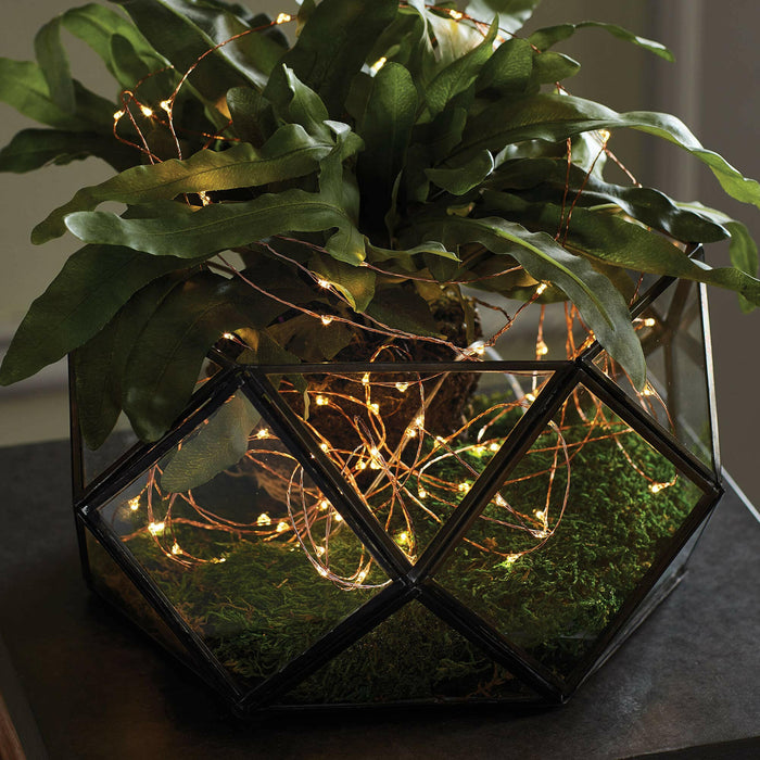 Napa Night Sky | LED Wire String Lights.