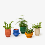 Areaware - Strata Plant Vessel: Green, a sculptural ceramic planter with layered design, inspired by Simone Brewster’s jewelry collection, concealing the saucer naturally.