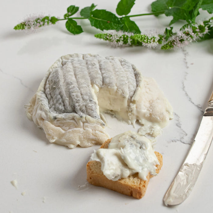 Vermont Creamery | Goat Cheese "Bonne Bouche".