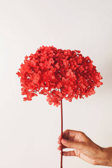 Idlewild Floral Co | Cherry Red Hydrangea Puff