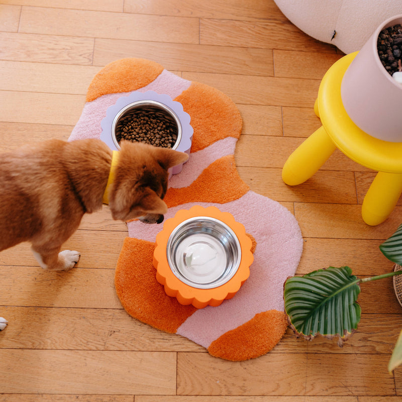 Oscar & co - Dog bowl in the shape of a daisy: Yellow / S