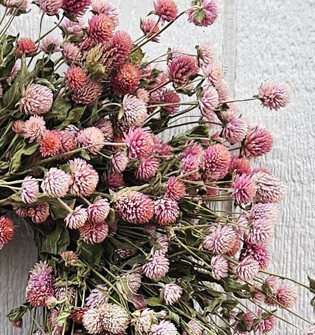 Alissas Flower Farm - Wreath: Totally Gomphrena: Blush, featuring a delicate arrangement of dried pink flowers, ideal for indoor decor.