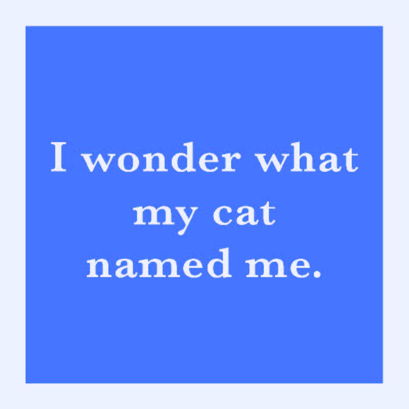 Coaster with the text I wonder what my cat named me, offering humor and protection for surfaces, ideal for gifts and home bar decor.