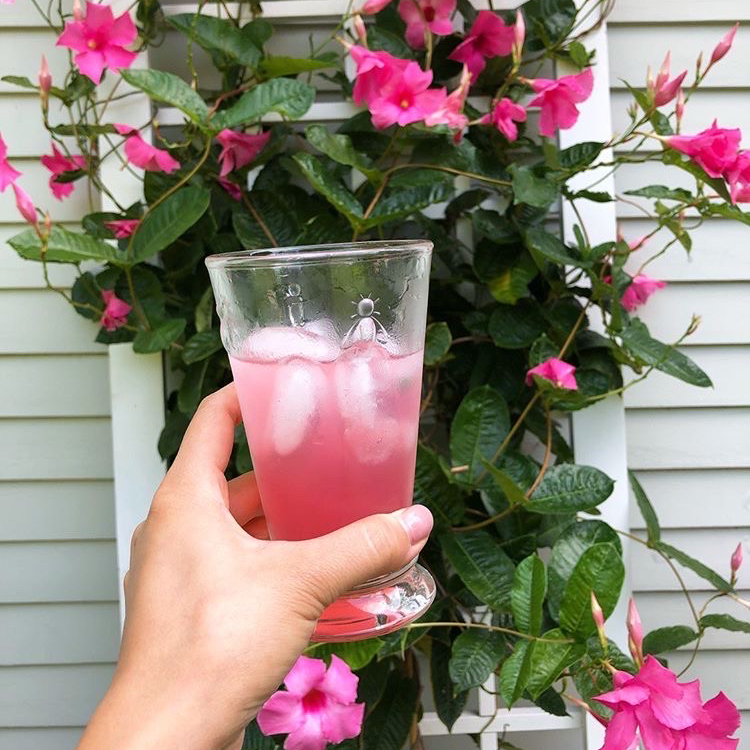 La Rochere | Bee Ice tea Glass.